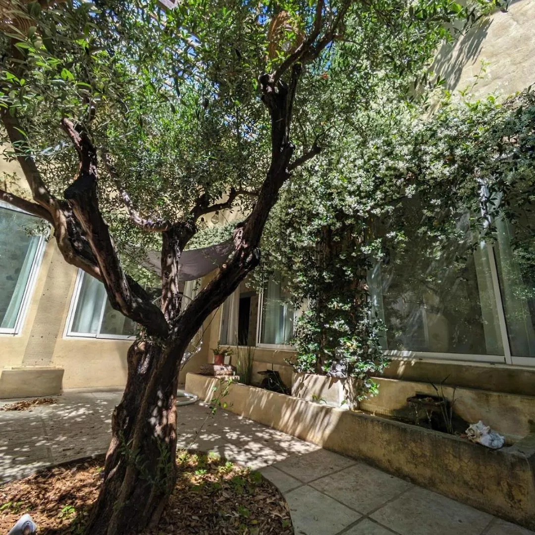 Loft Entre Vignes Et Truffes - Gite En Provence Vaucluse Вальреас 0*,  Франция